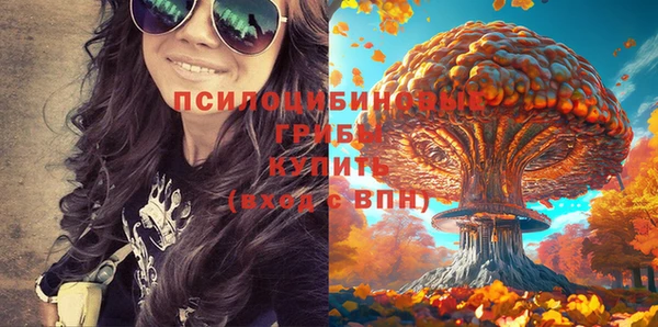 первитин Надым